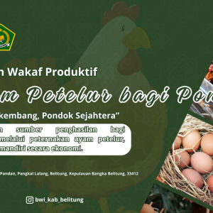 Wakaf Ayam Petelur 1000 ekor bagi Ponpes se-Belitung  “Harta Berkembang, Pondok Sejahtera”